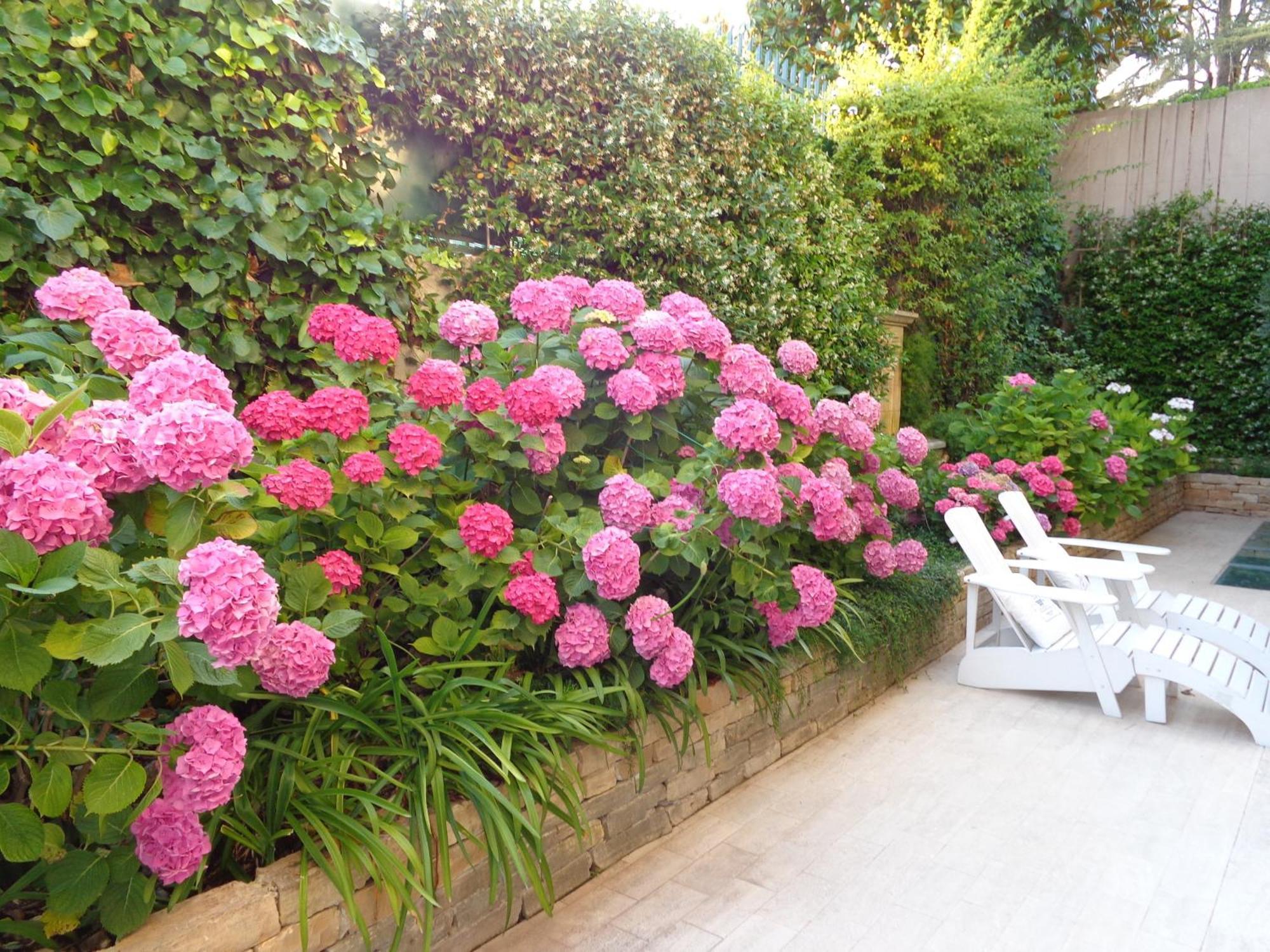 B&B Villa Feline Cannes Exterior photo